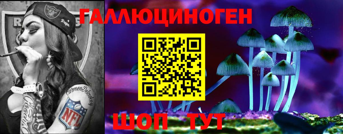 Псилоцибиновые грибы Cubensis Курчатов